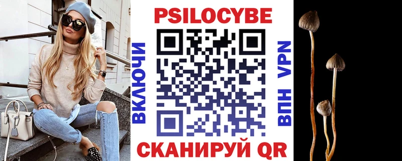Псилоцибиновые грибы прущие грибы  даркнет сайт  Болгар 